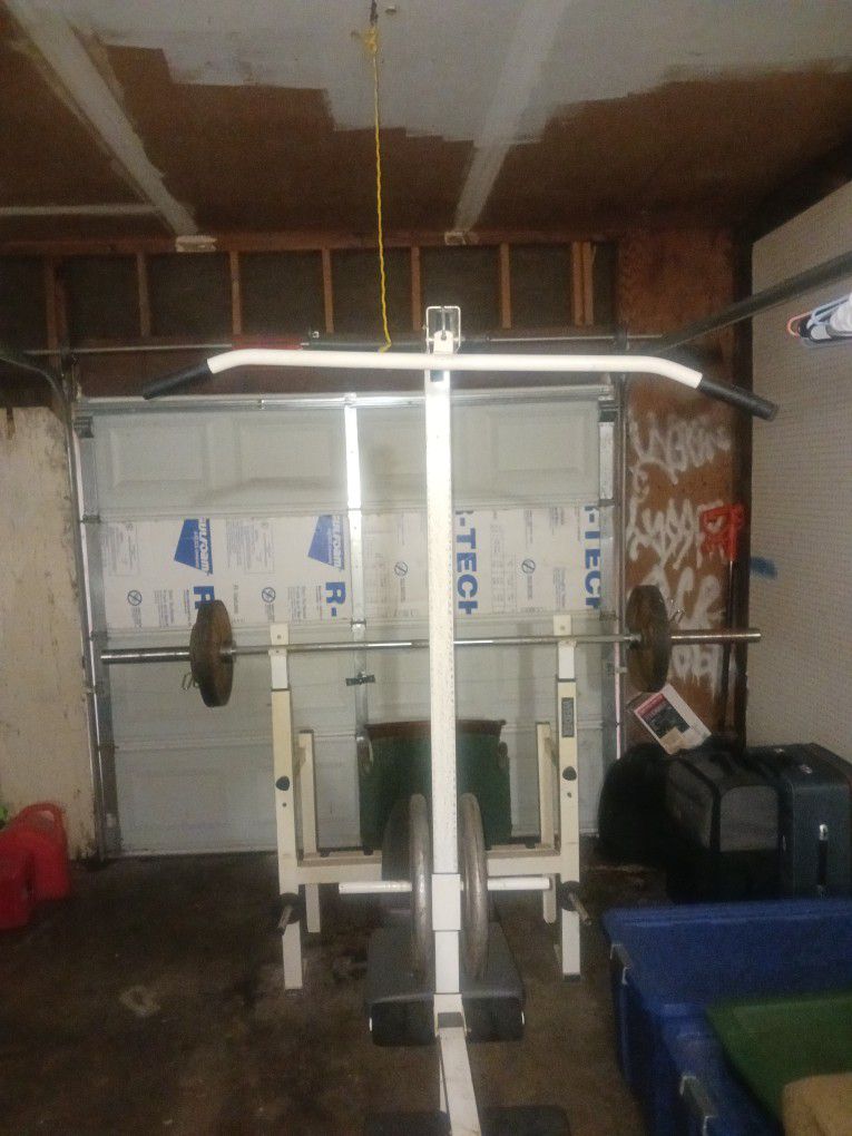 Olympic Weight Bench And Curl Bar All Weights Included