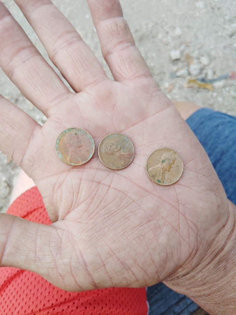 Pennies From Early 1900