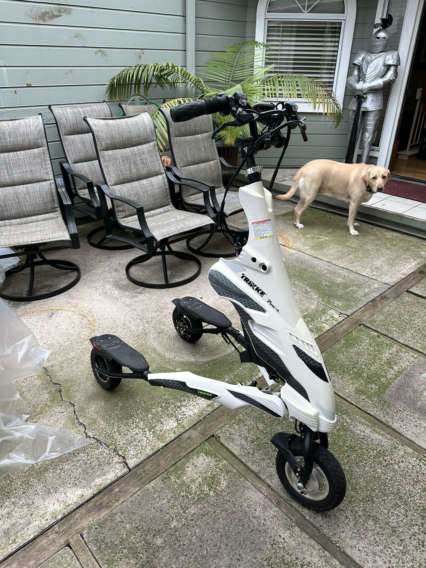 Electric Trikke 48V