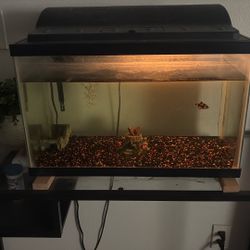Fish Tank With Stand 