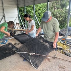 Wanted Shellfish grow bags 1/4 inch mesh size, Any condition,We pickup (From Anywhere)