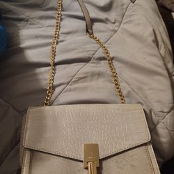 Aldo Grey Bag 