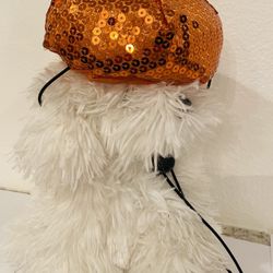 Punpkin Halloween Pet Hat 
