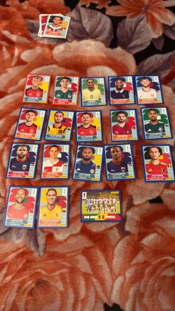 Panini stickers