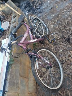 Next power climber bike. Needs tires pumped. Make offer