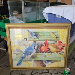 Framed BIRD PUZZLE 26x22 Photo Art Lot 7