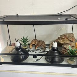 T-Rex Double Glass Terrarium, 36” L X 18”w 18”H