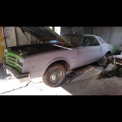 1976  2door  buick special project