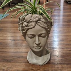 Head Planter With Spider Plant 