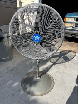 Fan
