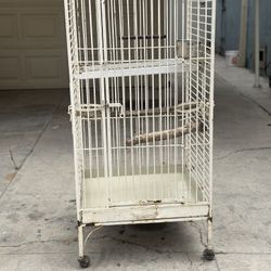 Iron Bird Cage
