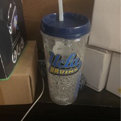 UCLA Mug
