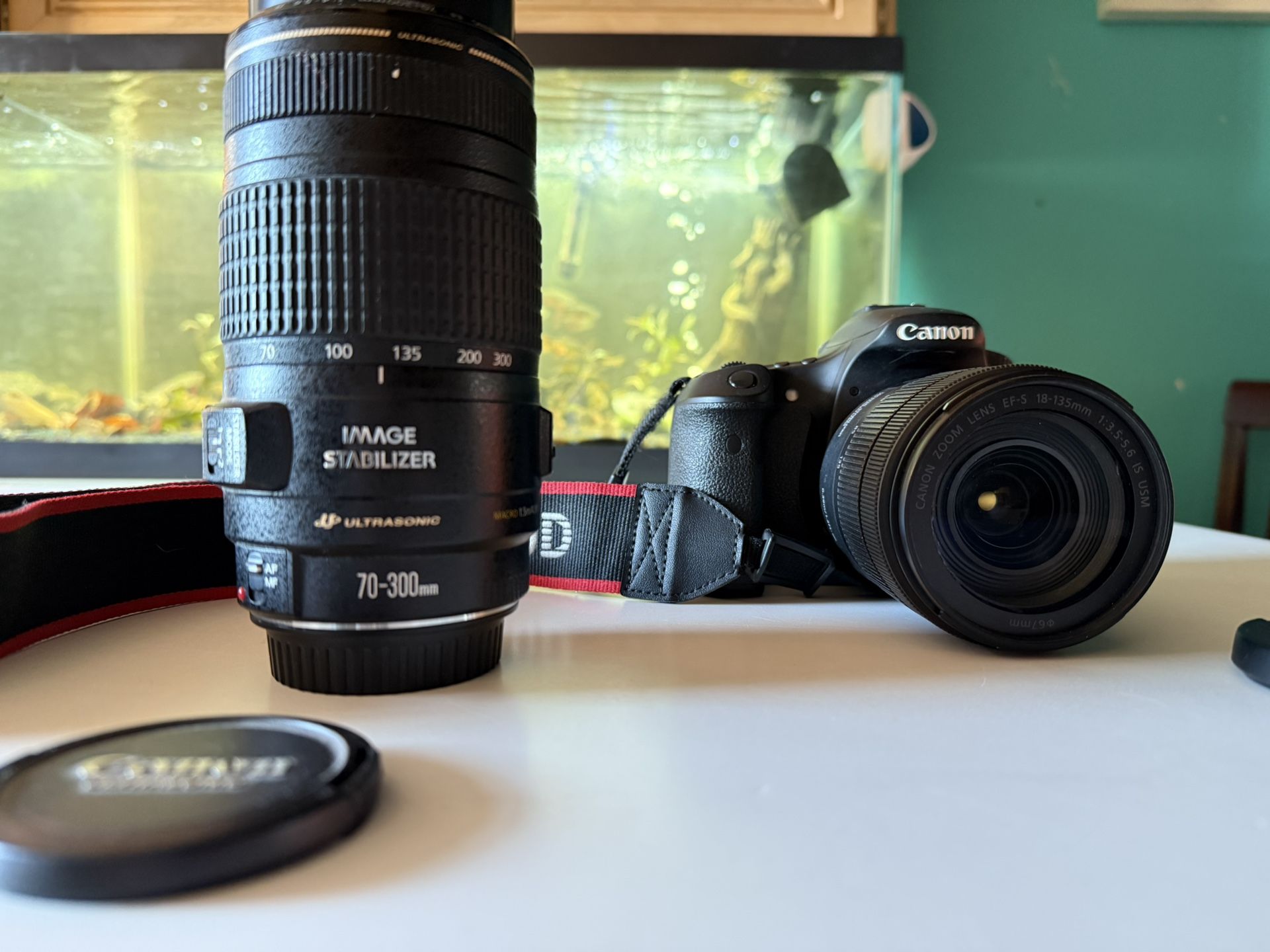 Canon EOS 60D Digital SLR Camera + Lens