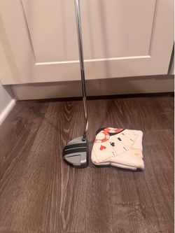 taylormade spider GT rollback