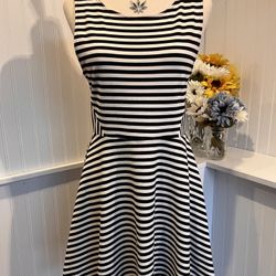 Black & White Striped Skater Dress