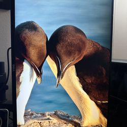 27” HD Dell Monitor