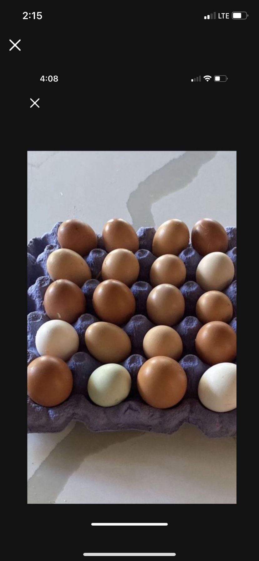 Eggs