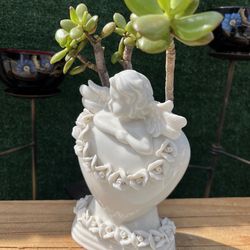 Succulent In A Cherub Heart Milk Glass Figurine ( Mothers Day Idea )