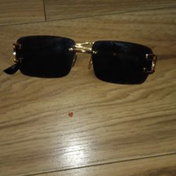 Cartier Sunglasses
