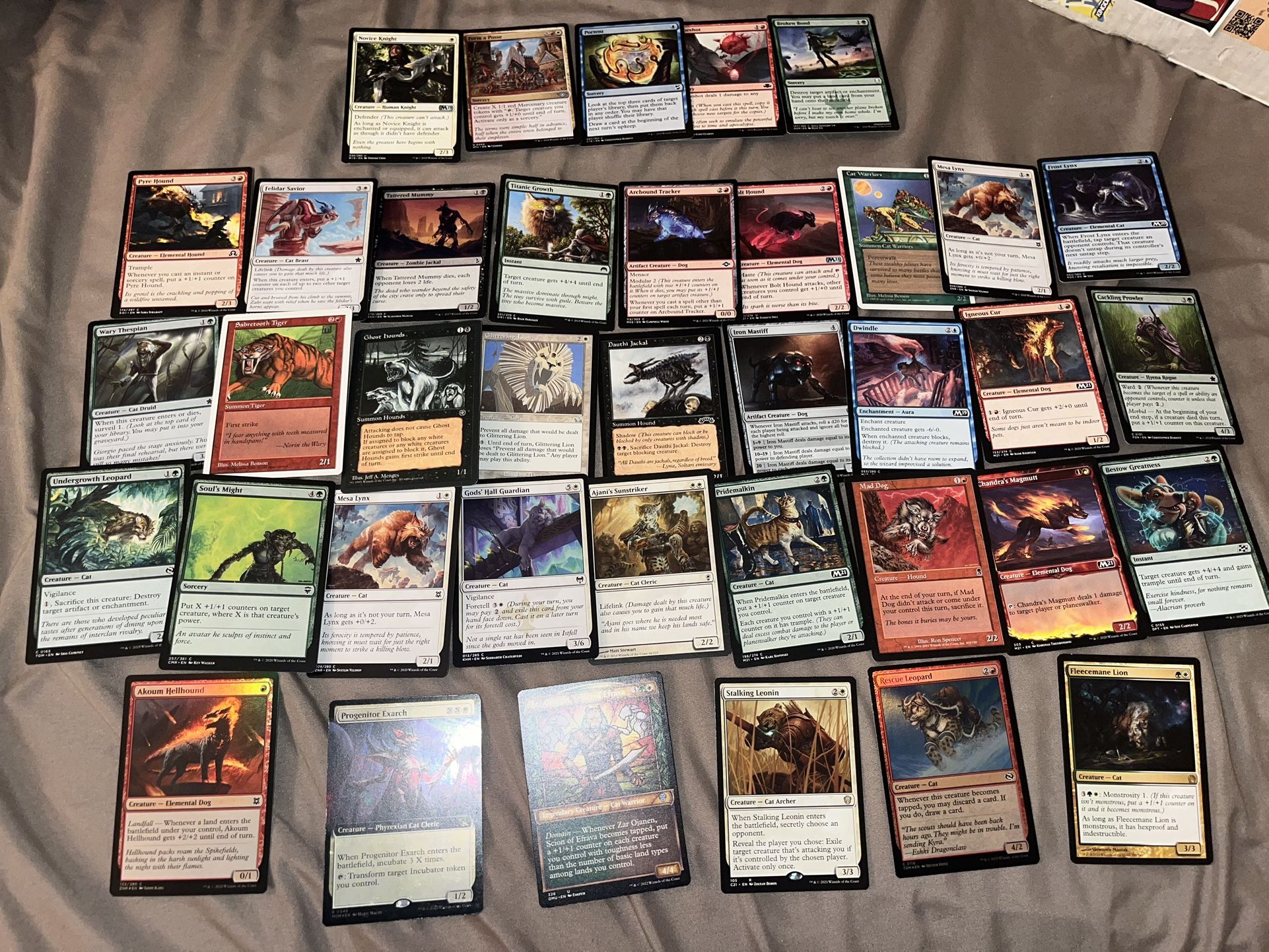 MTG Cats+Dogs Magic the Gathering MTG collection