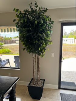 Decorative Tree