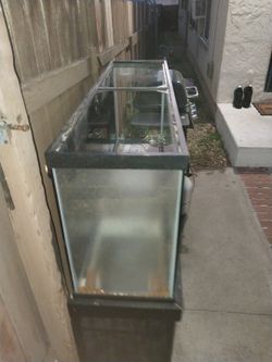 55 G Fisht Tank W Stand 