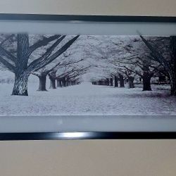 Framed picture of snow and trees