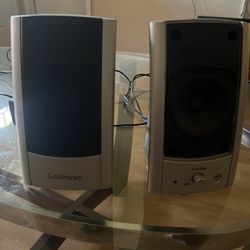 Computer Speakers 