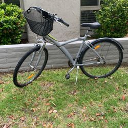 Cruiser Bike
