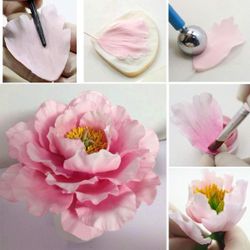 Gum Paste Flower Making Kit 