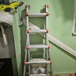 Little Giant Ladder System