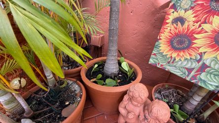 Concrete heavy planter pots