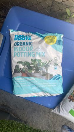 Indoor potting mix