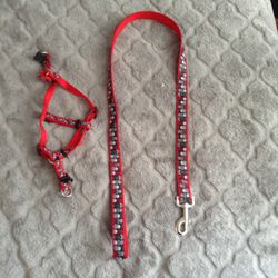 Leash and harness for small dog
