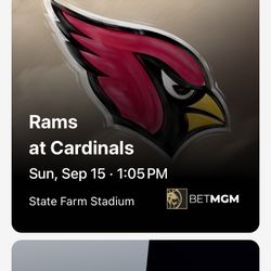 Los Angeles Rams @ Arizona Cardinals 4 Lowers Row 12