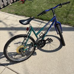 Magna Double Divide 24” Girls Mountain Bike