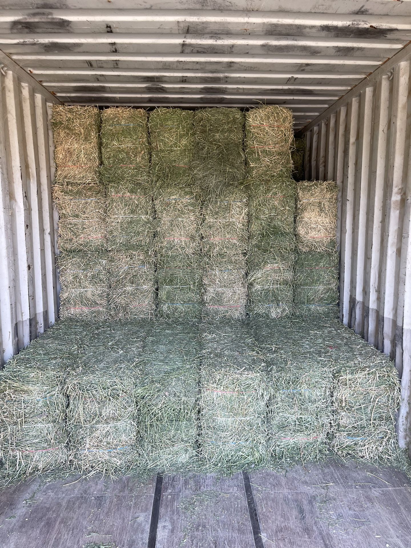 Alfalfa Bales Of Hay