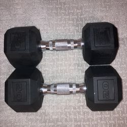 20 Lb Dumbbells 