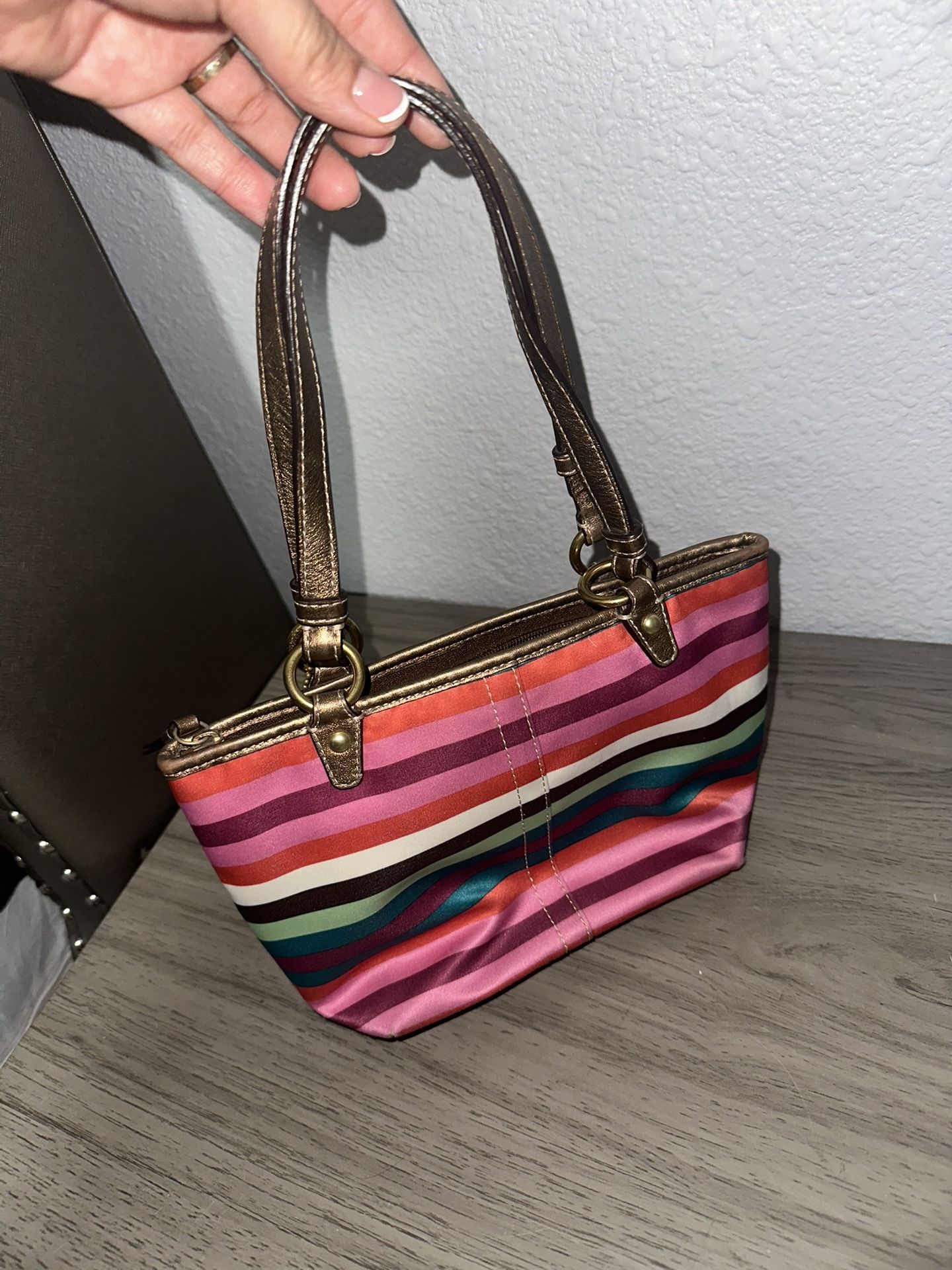 Small Coach Purse
