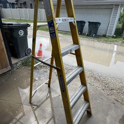 Werner Electro Master 6ft Ladder