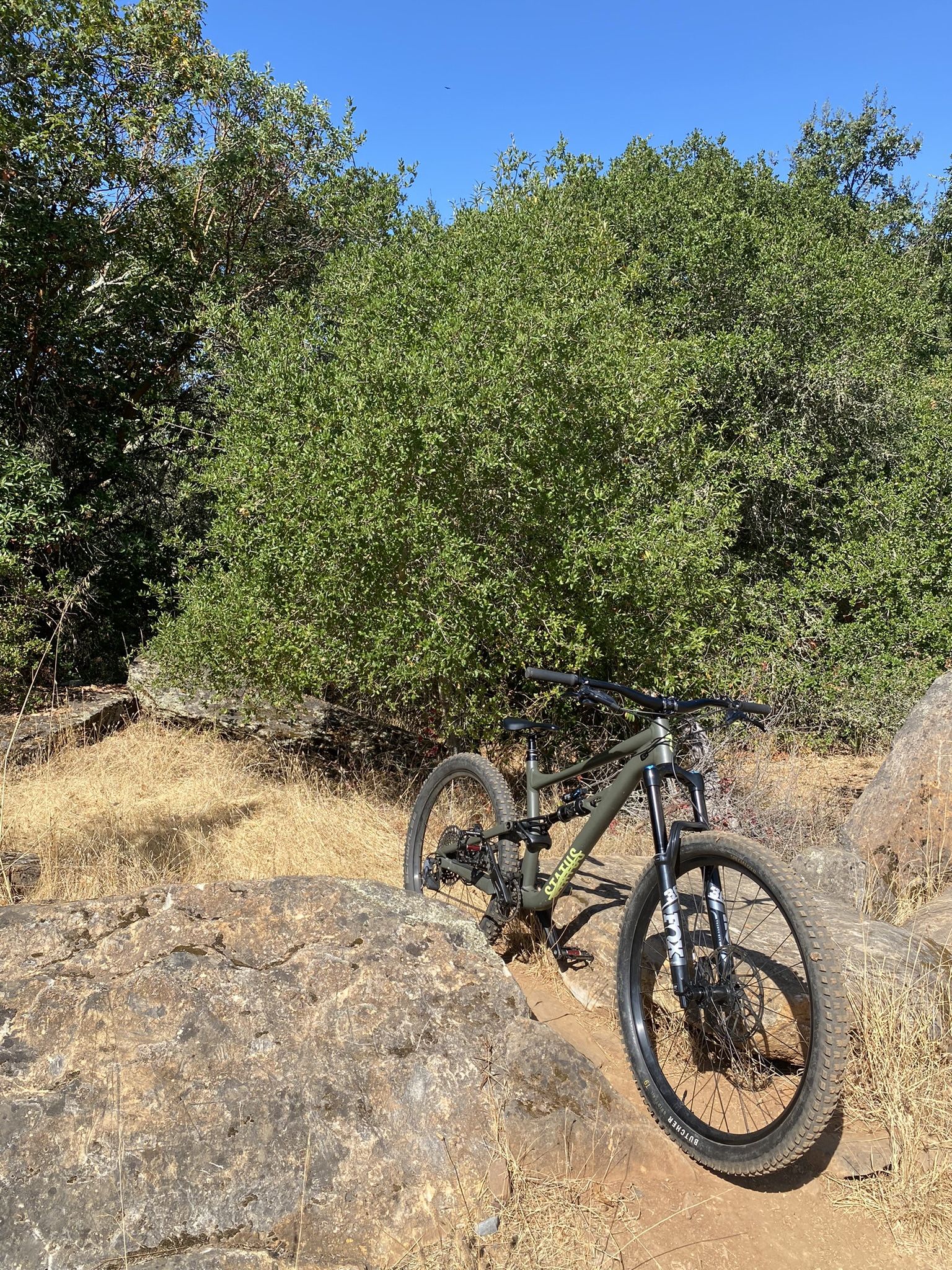 Specialized Status 140