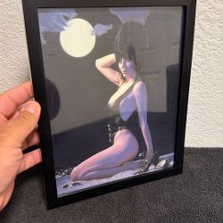Elvira 8x10 Picture 