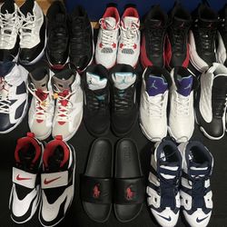 All Size 12