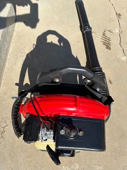 Commercial Gas Blower