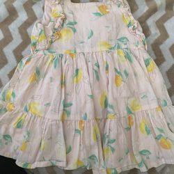 Cat and Jack 12 Months Dress