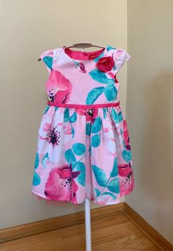 Beautiful Girl Dress 2t