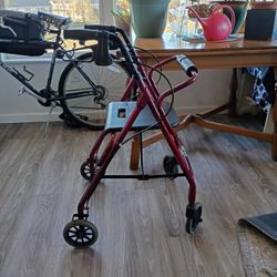 Nova Adult Walker 50.00