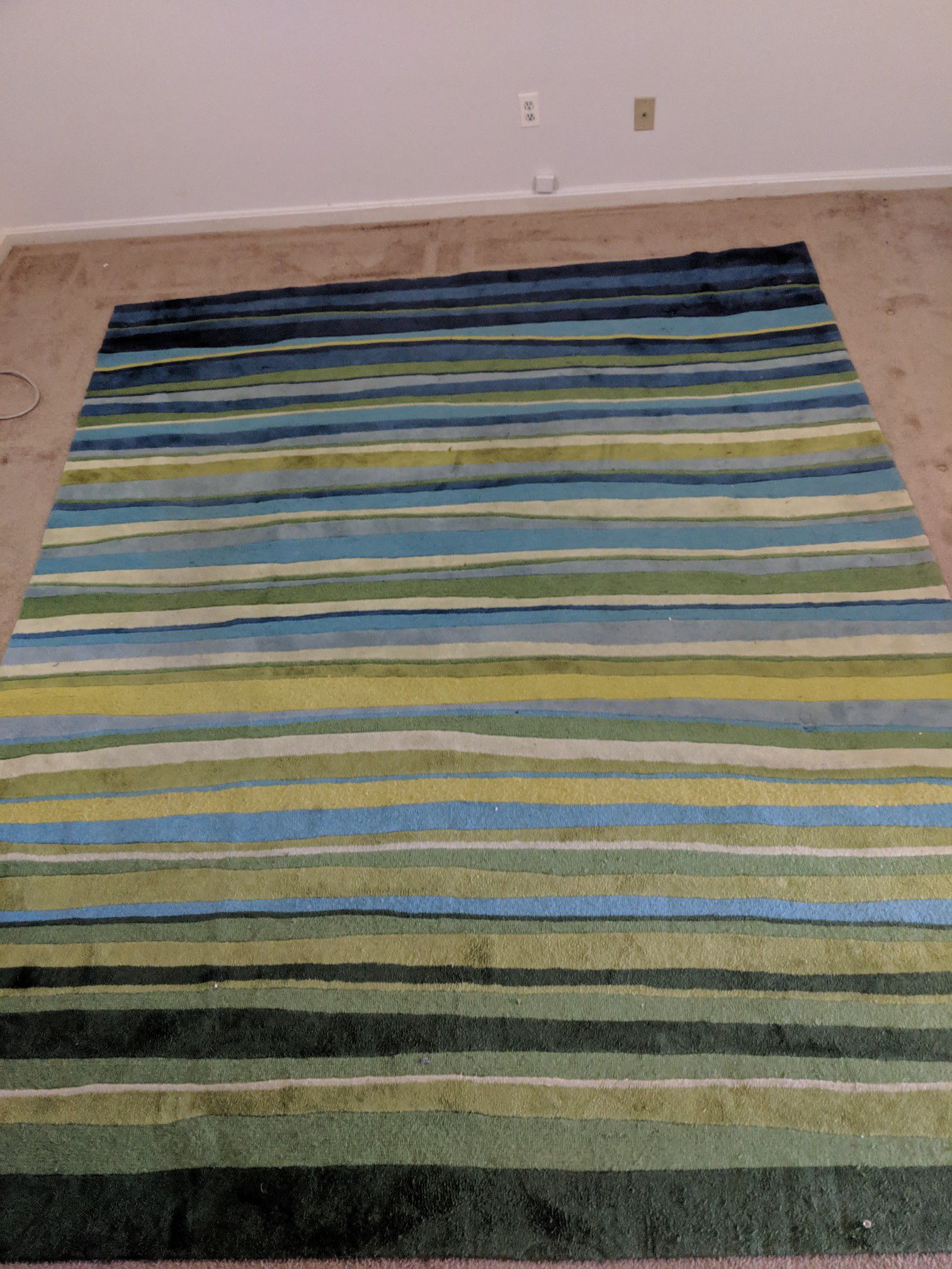 Rug - 10x8 ft blue and green area rug