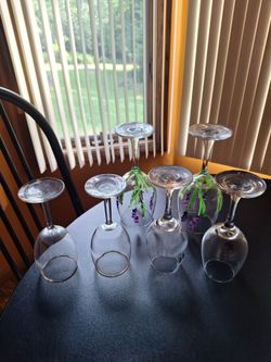 6 Wine Glasses