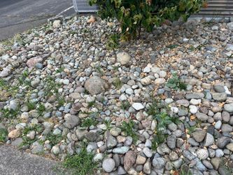 Gravel
